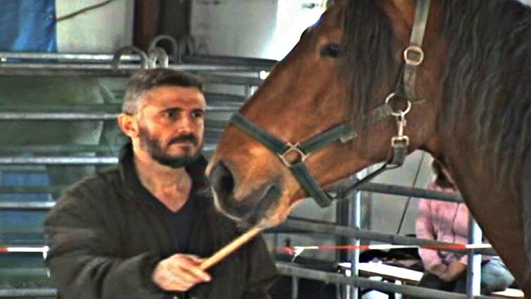 This image has an empty alt attribute; its file name is stts7.jpg