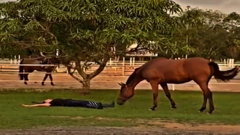 This image has an empty alt attribute; its file name is sure4.jpg