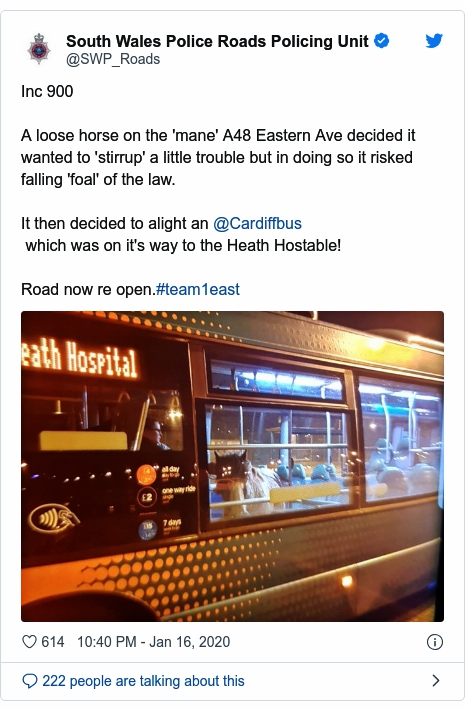 Horse inside Cardiff bus