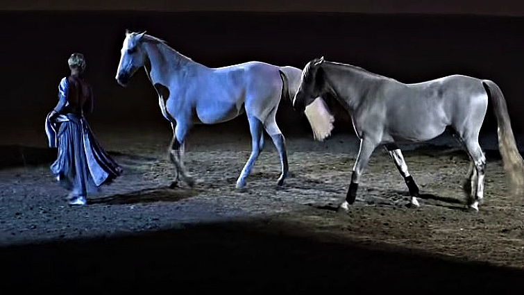 Sylvia Zerbini Arabian horse performance
