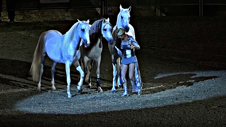 Sylvia Zerbini performing with white Arabian horses
