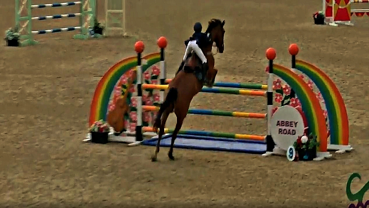 Tabitha Kyle demonstrates control on the giant gelding