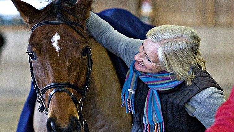 Horse observing human expressions study