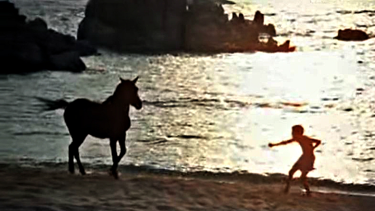 The Black Stallion beach scene