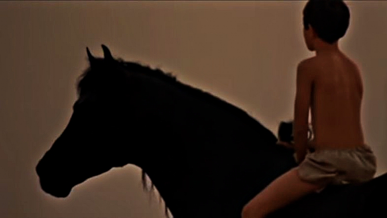 The Black Stallion racing scene