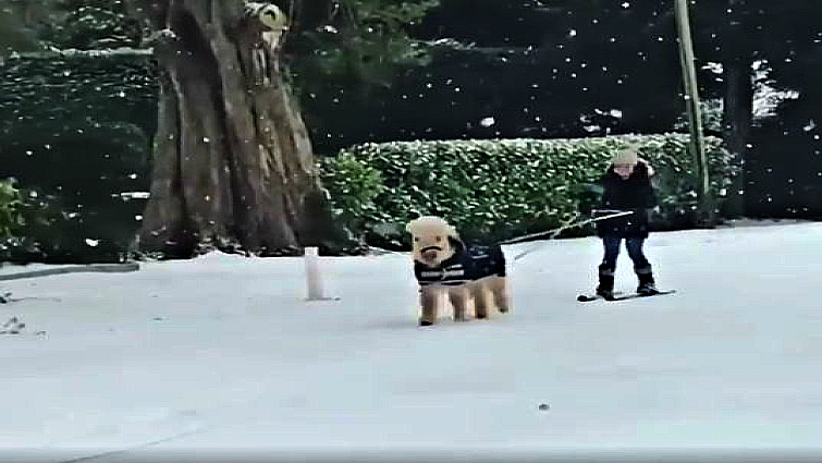 Pony and rider enjoying winter sports