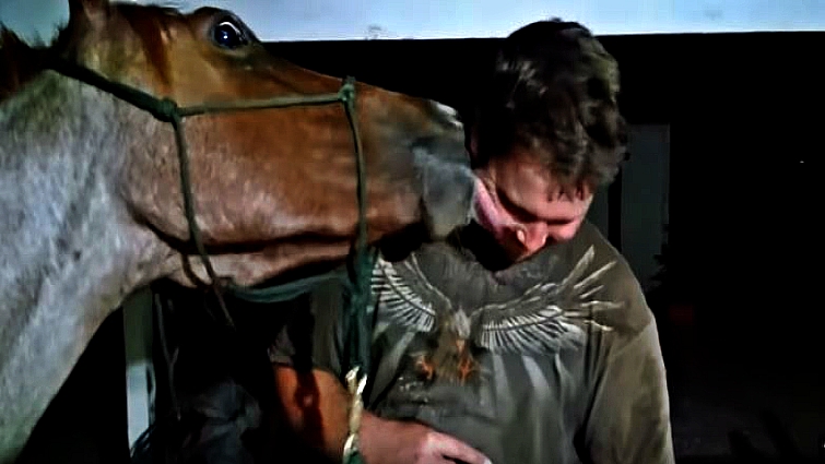 Owner showing affection to horse