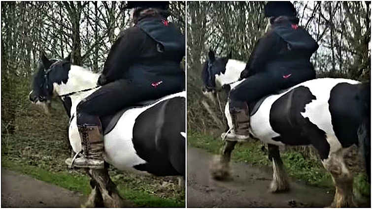 Tiffany bonding with horses