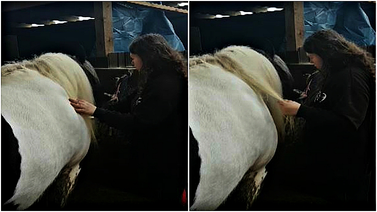 Tiffany's journey with equine therapy success