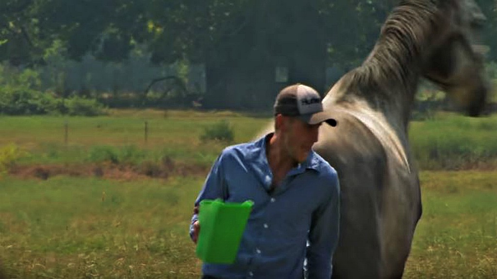 This image has an empty alt attribute; its file name is thkh2.jpg