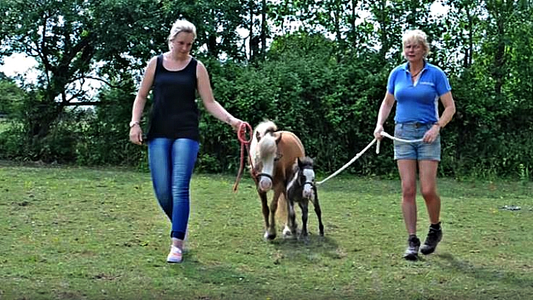 Microdave with owner Jen Baldwin-Murphy