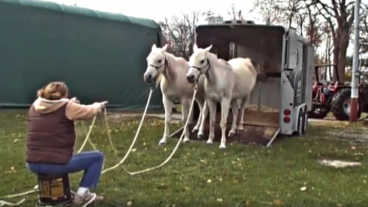 This image has an empty alt attribute; its file name is tlm3.jpg