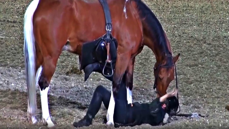 Tommie Turvey with his trained horses
