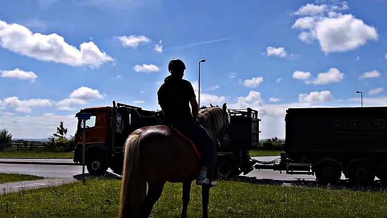 Rob Leese horse trainer working with horse