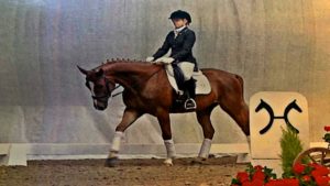 Horse blood type information