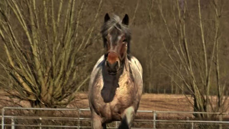 This image has an empty alt attribute; its file name is tvtb3.jpg