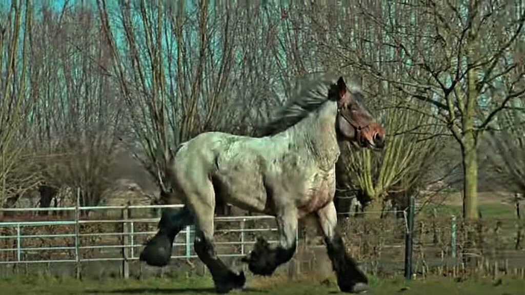 This image has an empty alt attribute; its file name is tvtb7.jpg