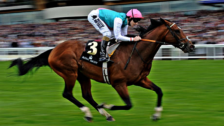 Frankel with his team