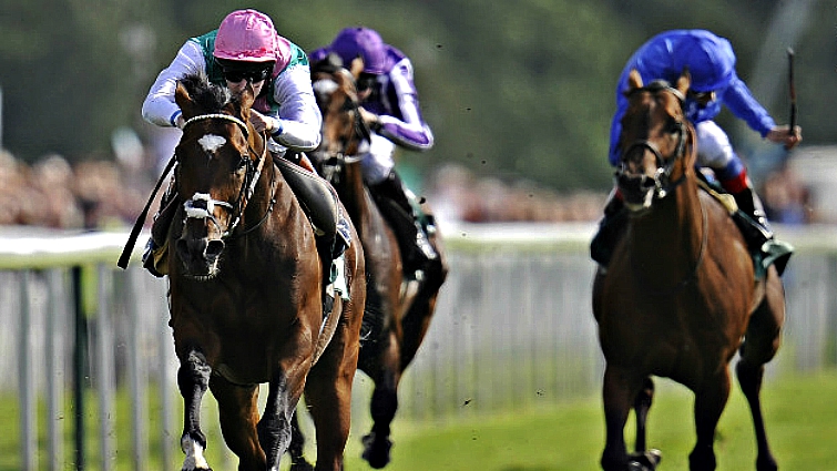 Frankel the wonder racehorse