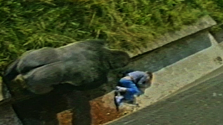 Heroic animal saving owner