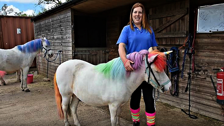 Close-up of glittery horse hooves and rainbow tail