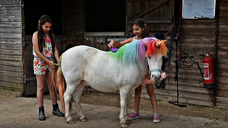 Full unicorn horse with diamond horn, flowers, and rainbow colors
