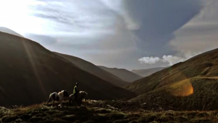 Icelandic horse herding community