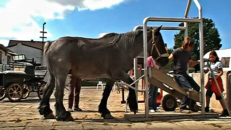 This image has an empty alt attribute; its file name is vbh2.jpg