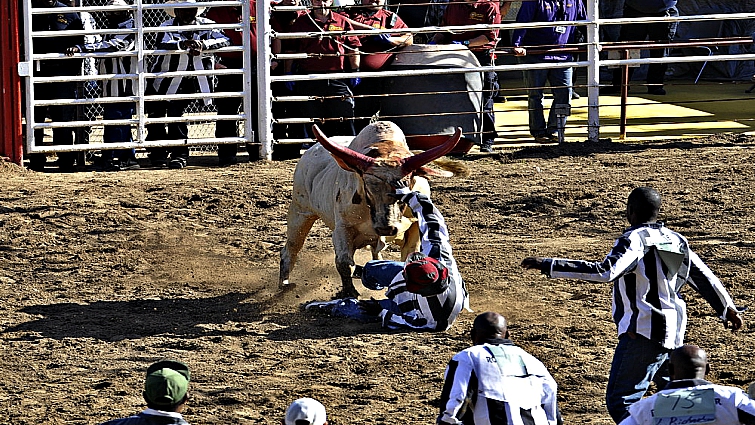 Inmate competing in prison rodeo event