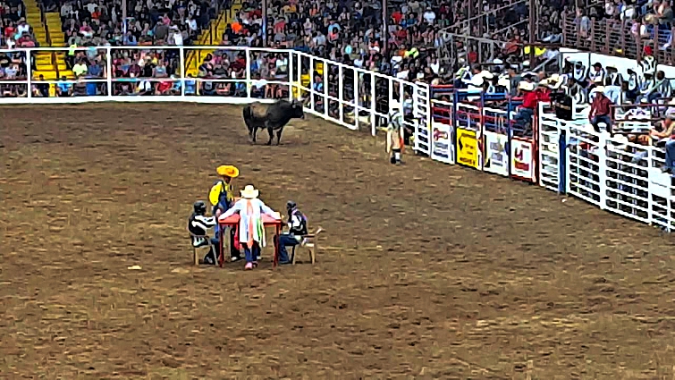 Prison rodeo crowd and spectators