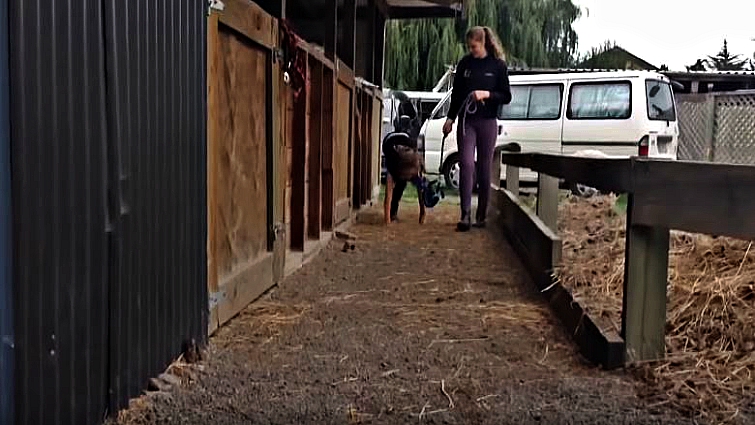 Young girls recreating horse behavior