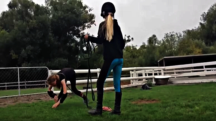 Funny equestrian comedy sketch