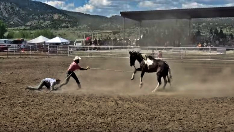 Wild horse race action