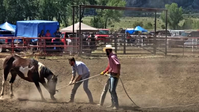 Wild horse racing event