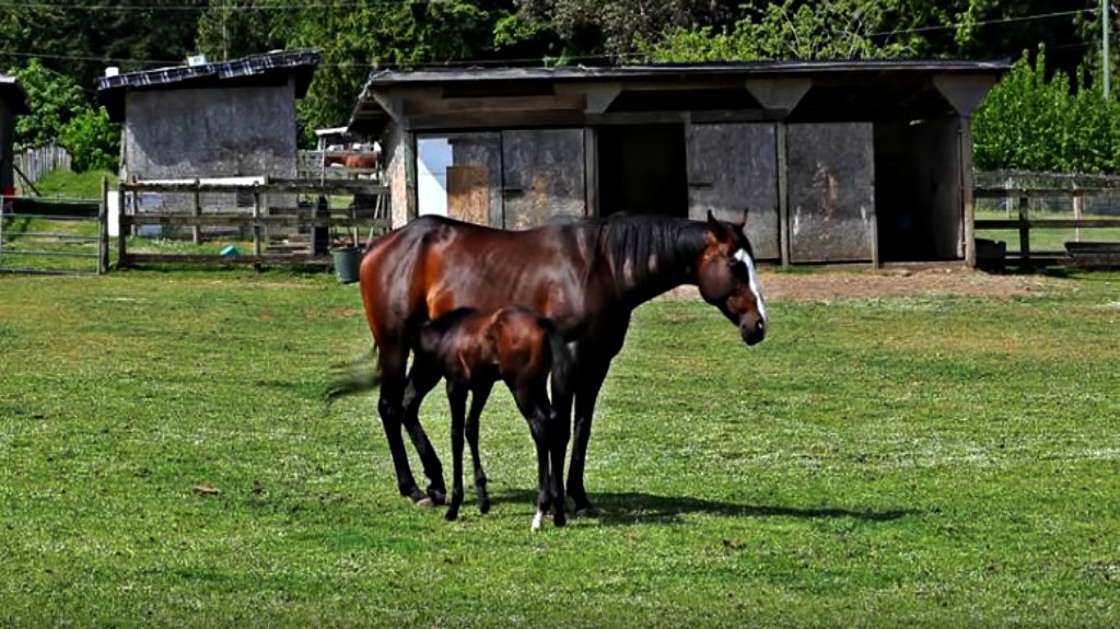 This image has an empty alt attribute; its file name is wufl6.jpg