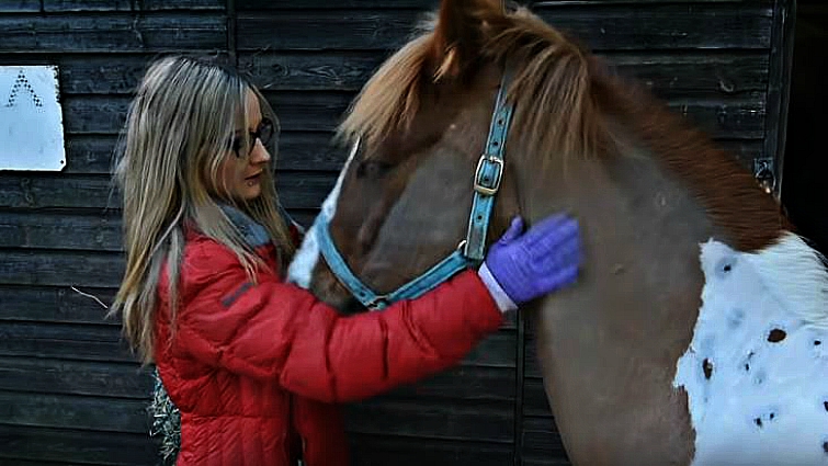 Mercedes with her horses