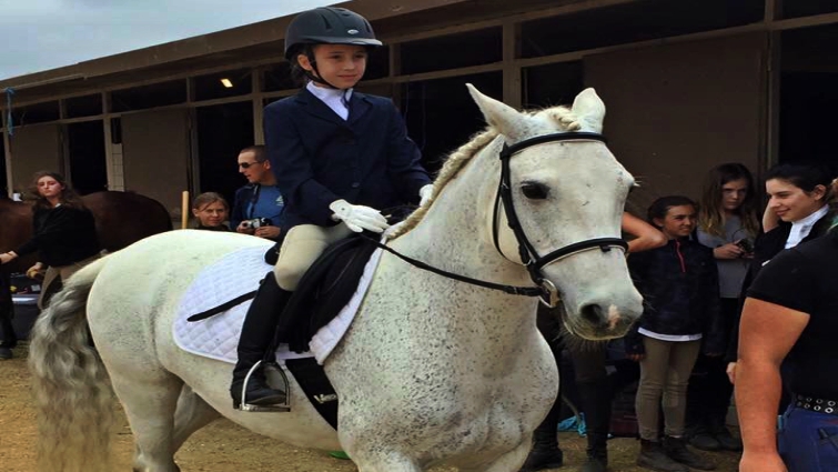 Ella Fox with mustang Dixie during training