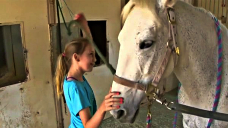 Ella Fox and Dixie competing together
